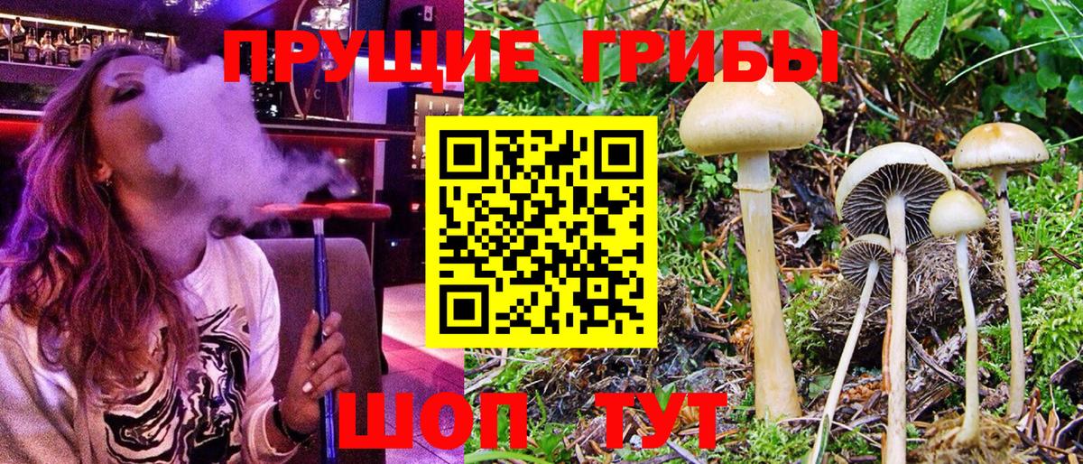 Советск  Псилоцибиновые грибы Cubensis  Вход с VPN  Галлюциногенные грибы мицелий 