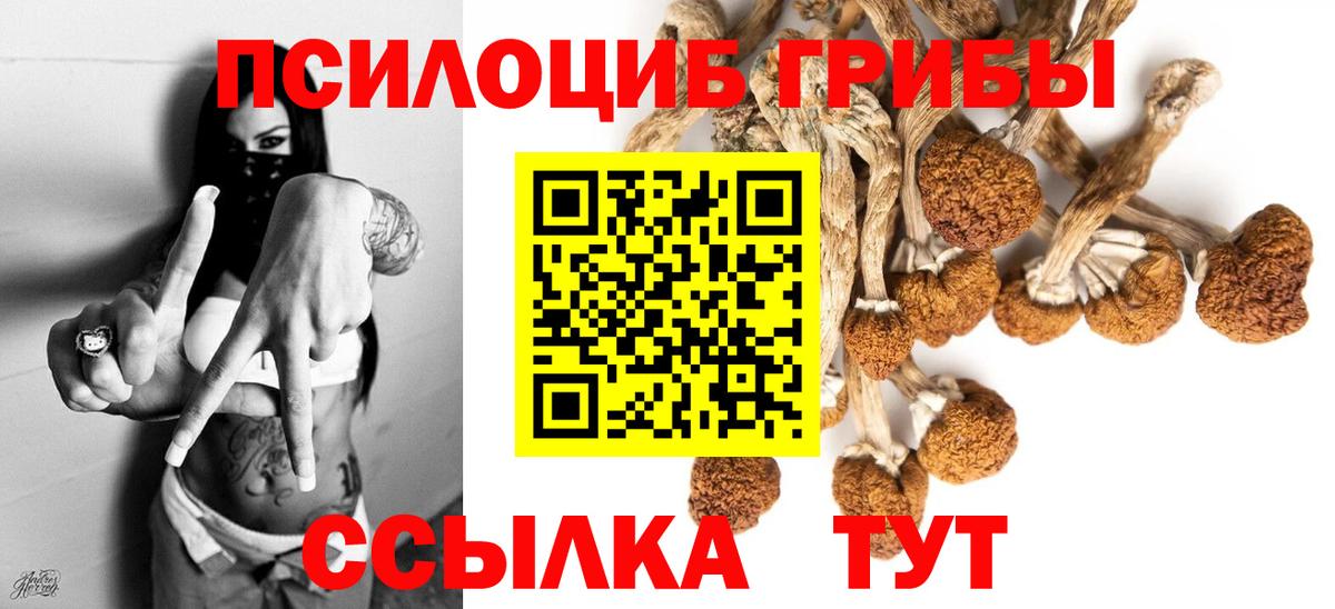Галлюциногенные грибы мухоморы Советск